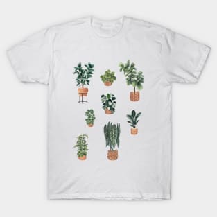 House plant in baskets T-Shirt